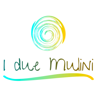 logo_duemulini