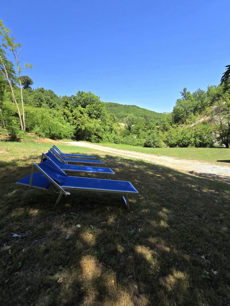 lettini_daspiaggia Lettini su prato